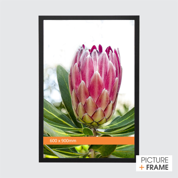 600 x 90mm Ready Made Wall Frame - Picture Framer Perth
